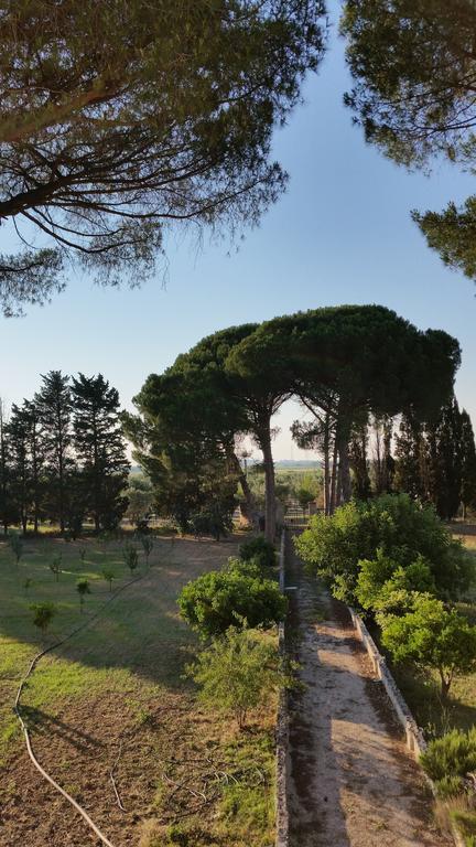 Agriturismo Occhineri Porto Cesareo Eksteriør bilde