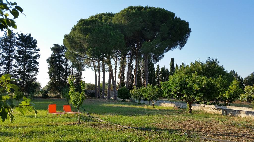 Agriturismo Occhineri Porto Cesareo Eksteriør bilde