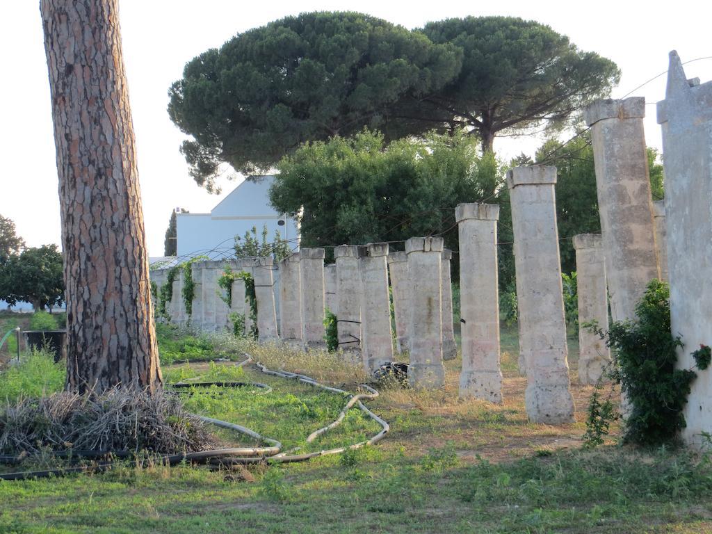 Agriturismo Occhineri Porto Cesareo Eksteriør bilde