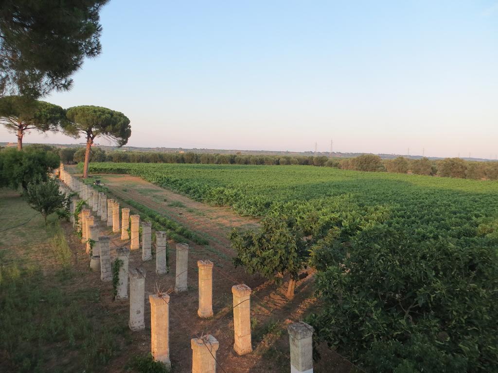 Agriturismo Occhineri Porto Cesareo Eksteriør bilde