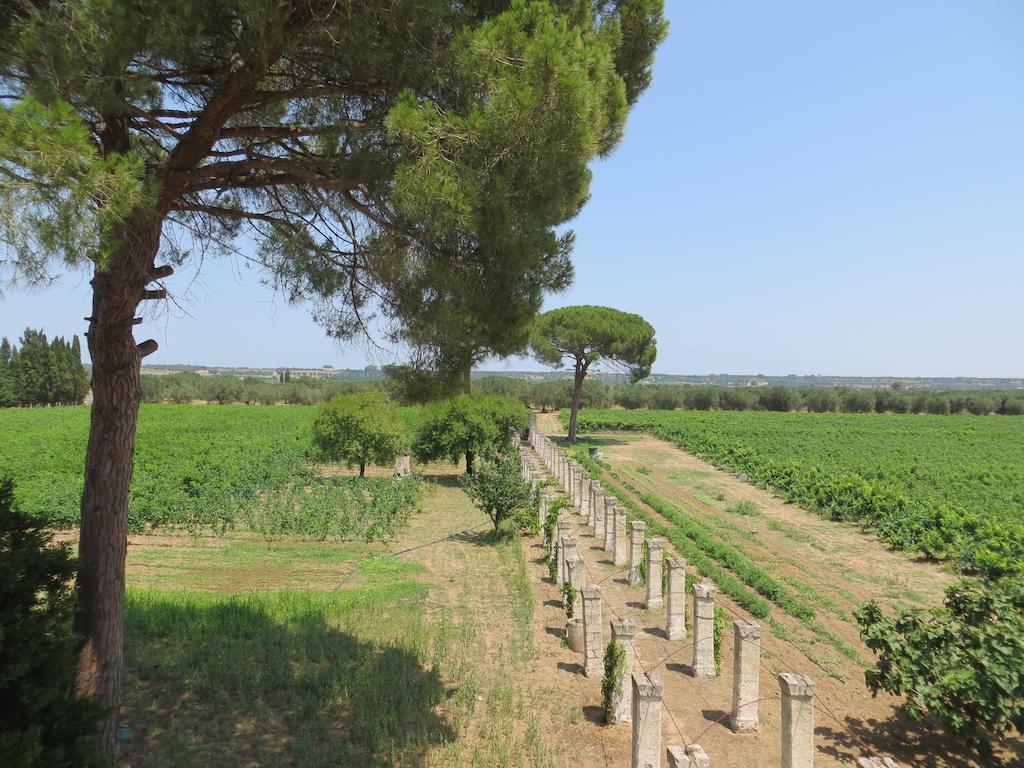 Agriturismo Occhineri Porto Cesareo Eksteriør bilde